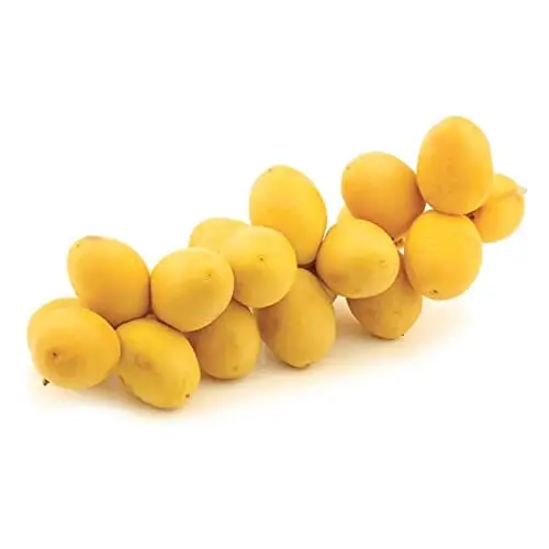 Yellow Dates_Khajur