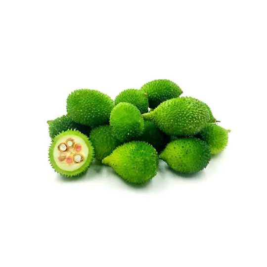 Spiny Gourd_Kankoda