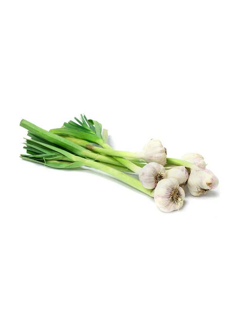 Green Garlic _ Lilu Lasan 