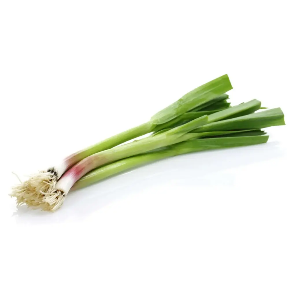 Green Onion _ Lili Dungli 