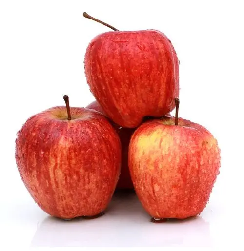 Apple _ Safarjan