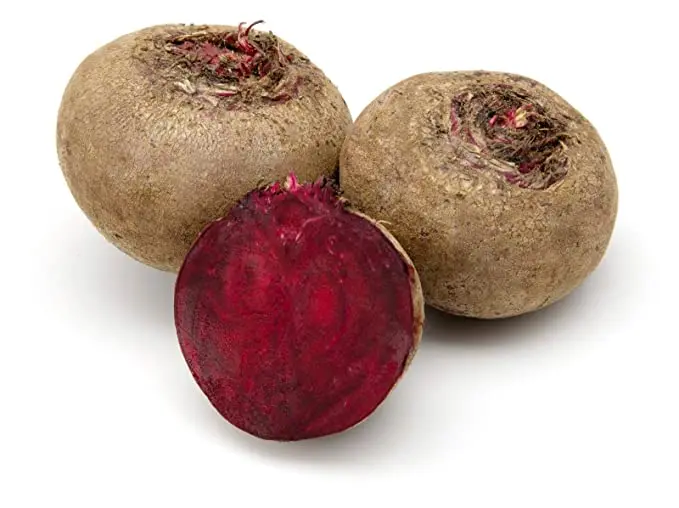 Beet _ Bit 