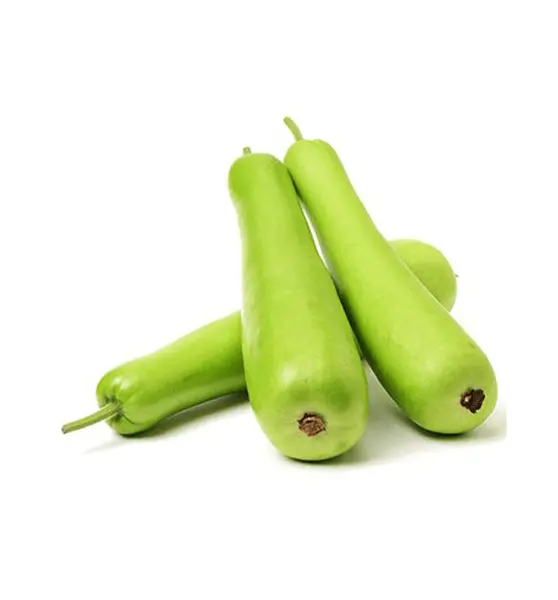 Bottle gourd _ Dudhi