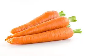 Carrot _ Gajar
