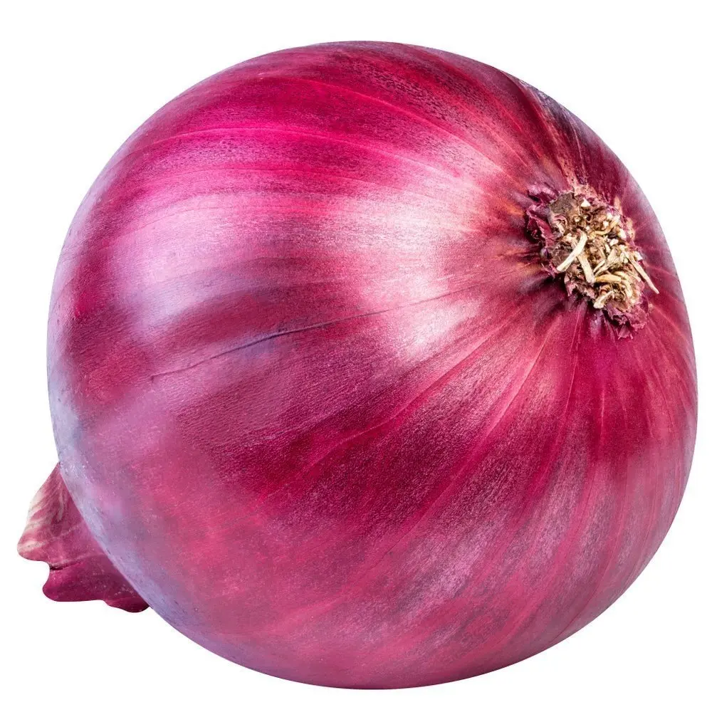 Dry Onion _ Suki Dungli