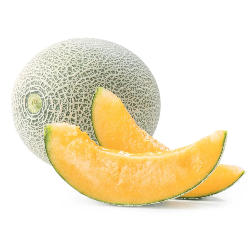 Muskmelon_Teti