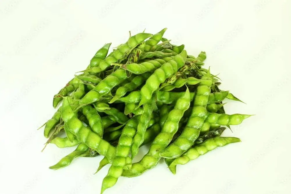 Pigeon Pea_tuver