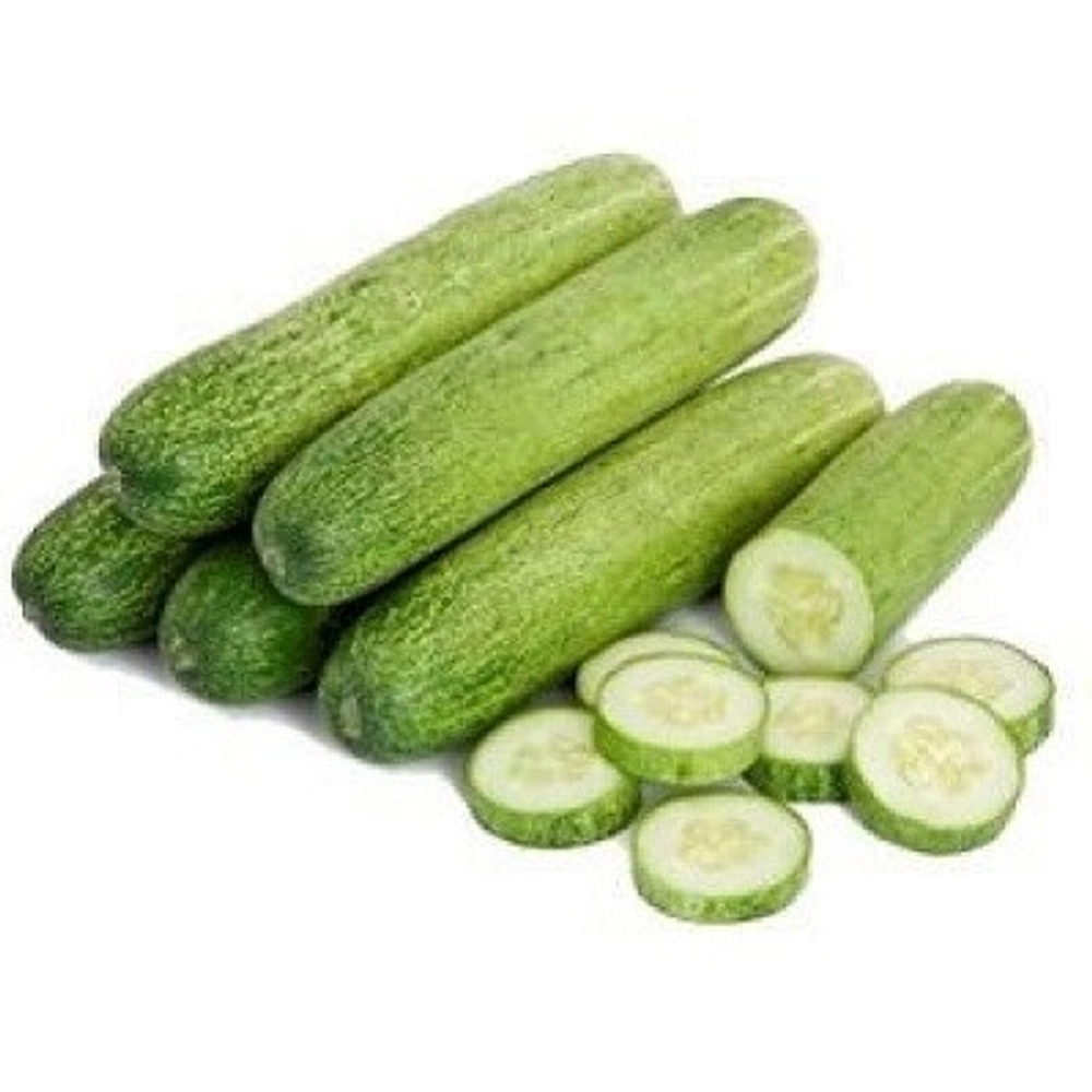 Regular Cucumber _Kakdi