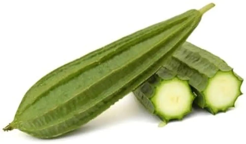 Ridge gourd _ Turiya