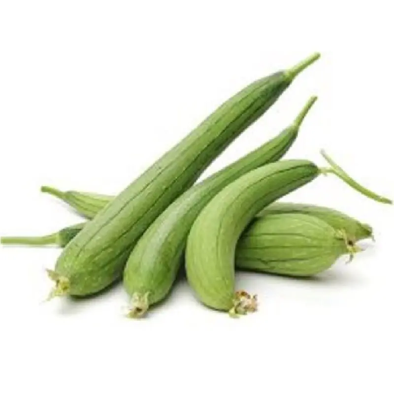 Sponge gourd _ Galka