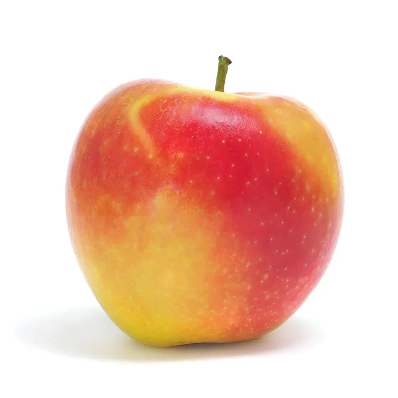 Apple Imported _ Safarjan Imported