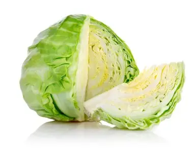 Cabbage _ Kobi