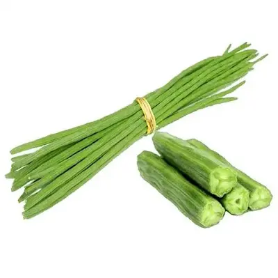 Drumstick _ Saragvo 