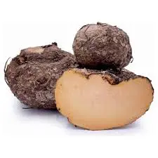 Elephant Foot Yam _ Suran 