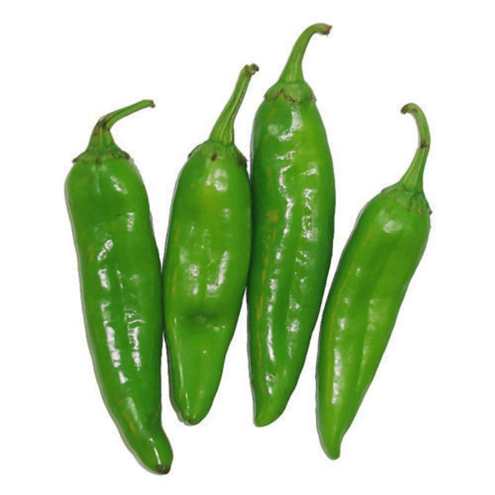 Green Chilli _ Lila Marcha