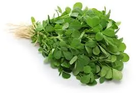 Green Fenugreek _ Methi