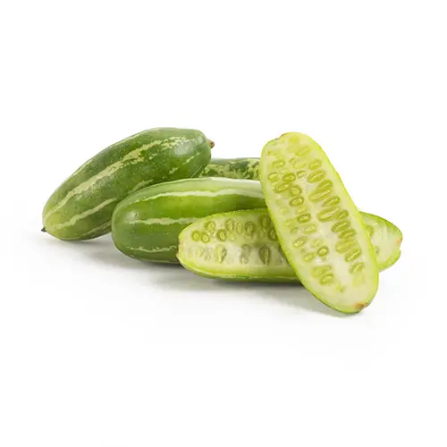 Ivy gourd _ Tindola