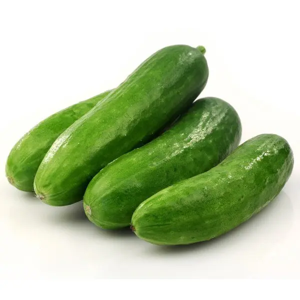 Khira Cucumber _ Khira Kakdi