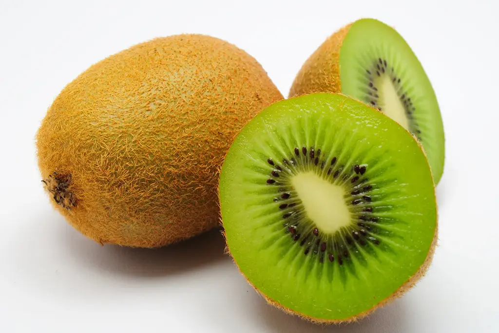 Kiwi Box (Pack of 3)