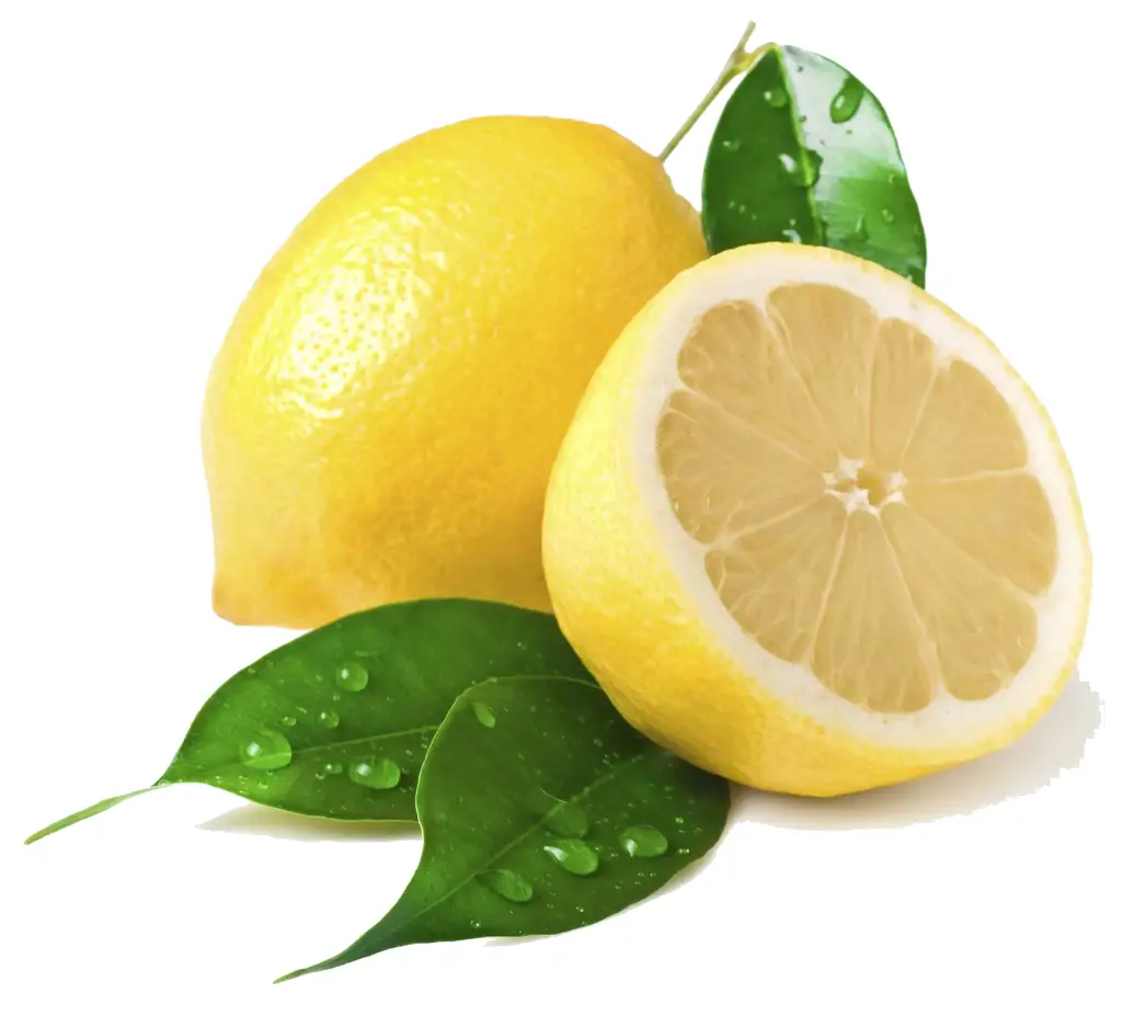Lemon _ Limbu