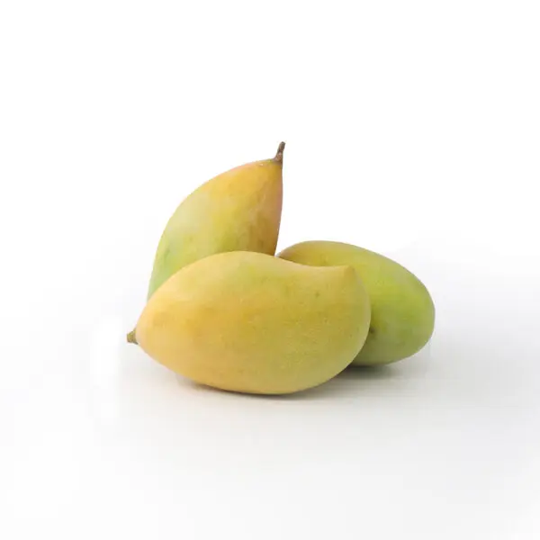 Mango - Tota