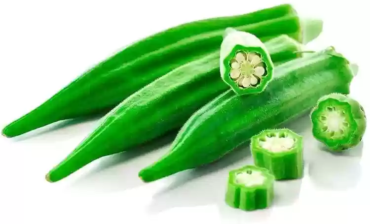 Okra _ Bhinda 