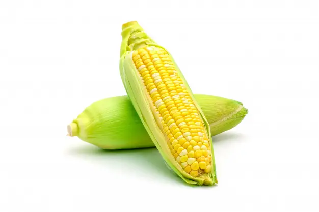 Sweet Corn _ Makai