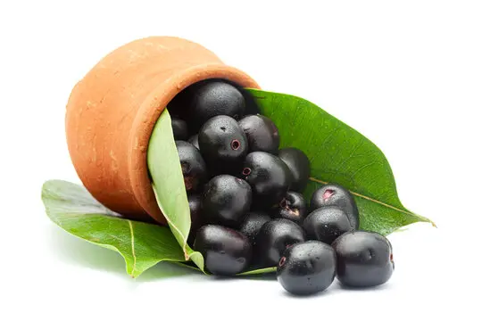 Black Plum-Jamun